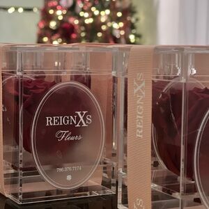 ReignXs Fleurs Red Forever Rose